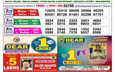 Dear pelican wednesday weekly lottery 8.1.25 8pm result