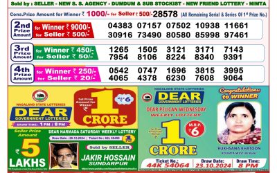 Dear sandpiper Thursday weekly lottery 9.1.25 8pm result