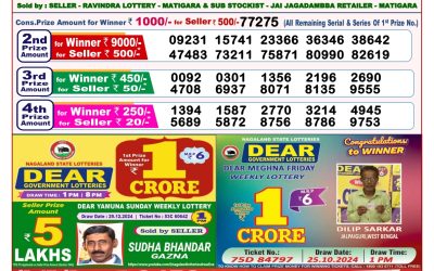 Dear seagull Friday weekly lottery 10.1.25 8pm result