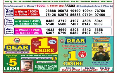 Dear stork saturday weekly lottery 11.1.25 8pm result