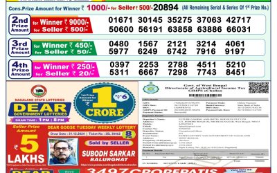 Dear dwarka monday weekly lottery 13.1.25 1pm result