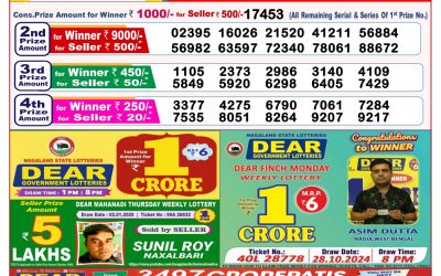 Dear goose Tuesday weekly lottery 14.1.25 8pm result