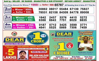 Dear pelican wednesday weekly lottery 15.1.25 8pm result