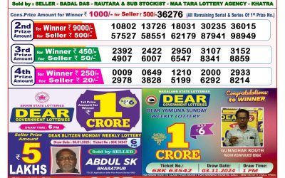 Dear seagull Friday weekly lottery 17.1.25 8pm result