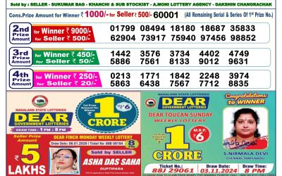 Dear donner saturday weekly lottery 18.1.25 6pm result