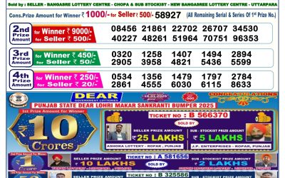 Dear vixen sunday weekly lottery 19.1.25 6pm result