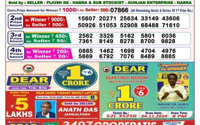 Dear toucan sunday weekly lottery 19.1.25 8pm result