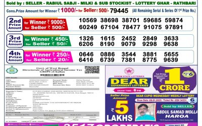 Dear blitzen monday weekly lottery 20.1.25 6pm result