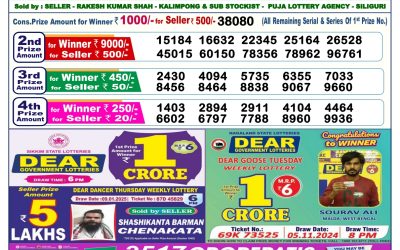 Dear comet Tuesday weekly lottery 21.1.25 6pm result